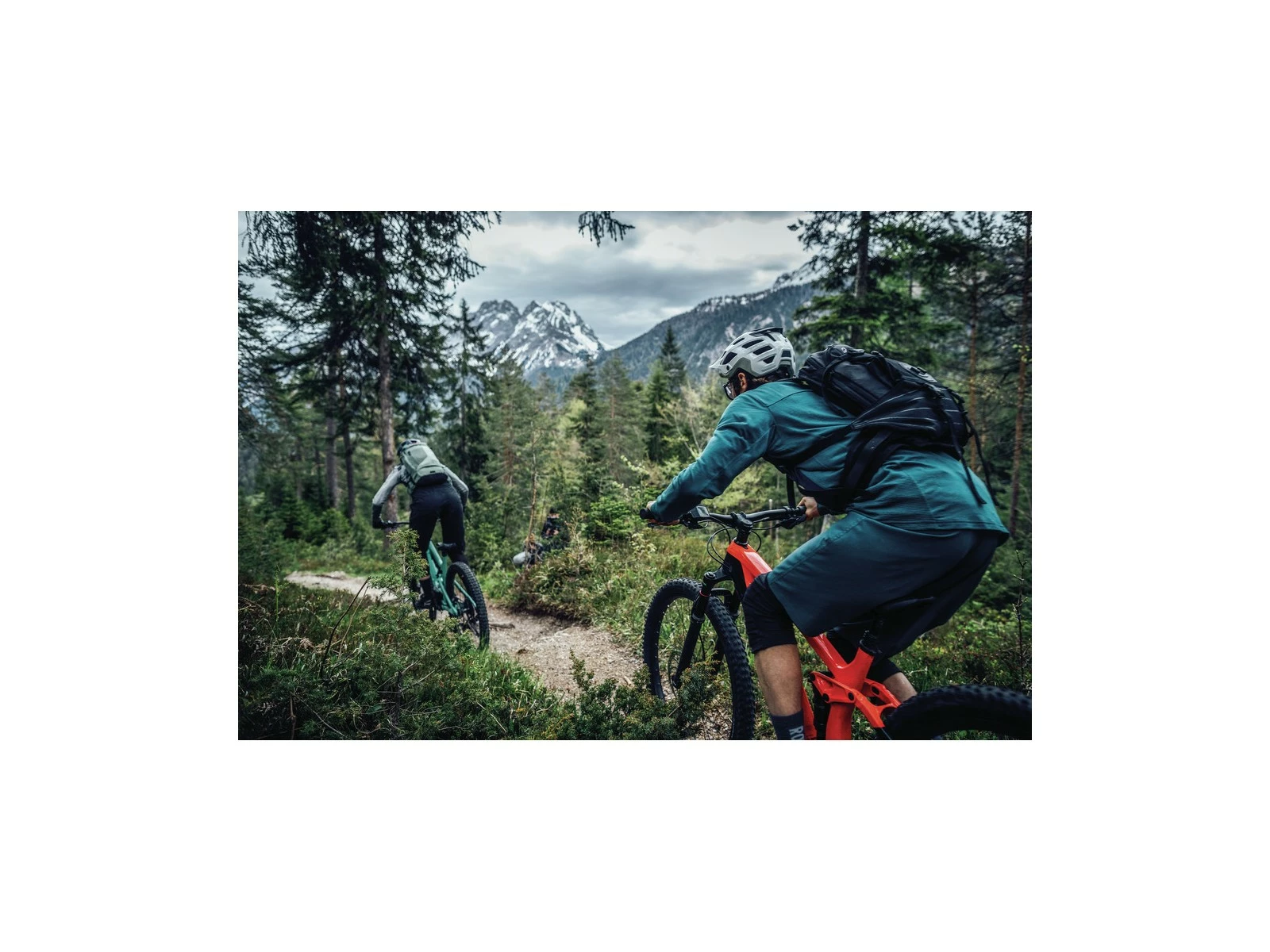 ABUS Casque Moventor 2.0 Pine Green 9 ABUS Casque Moventor 2.0 Pine Green – Image 7